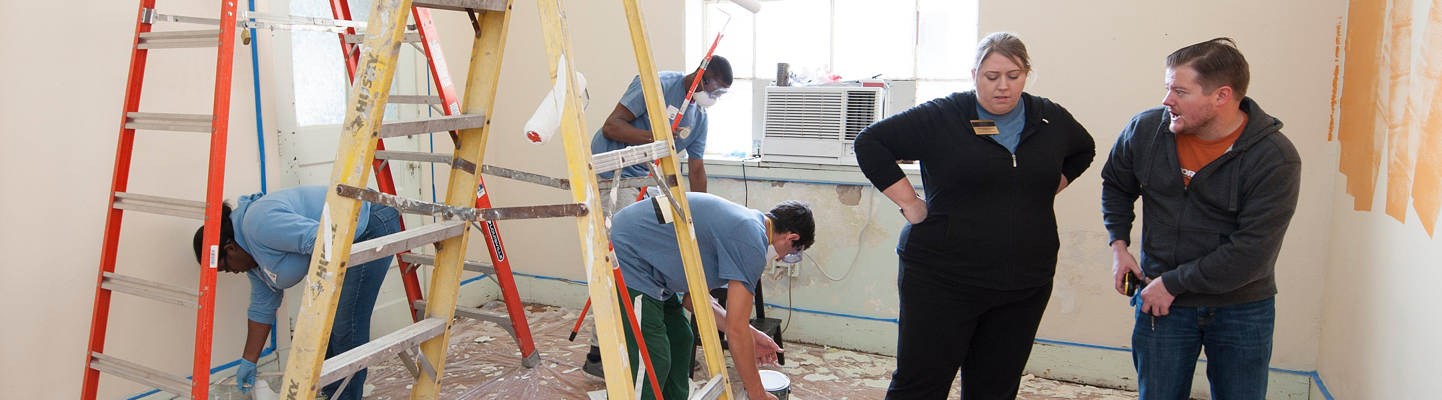 physical plant with ladders